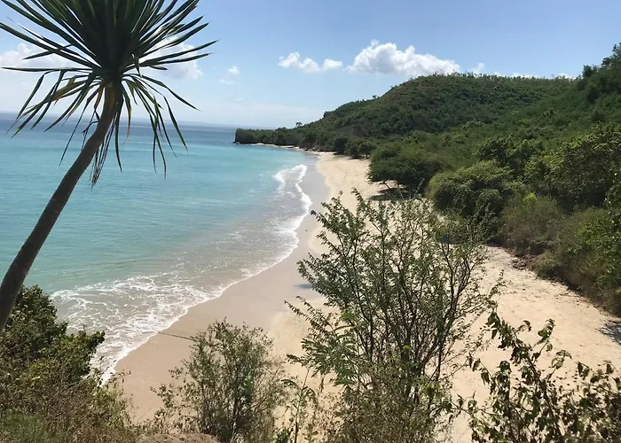 Ekas Surf Resort & Surf Camp