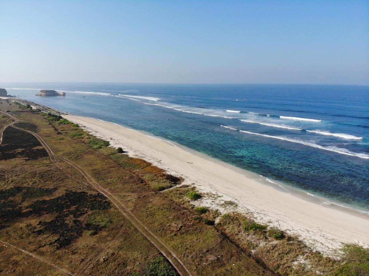 Surf & Surf Camp *