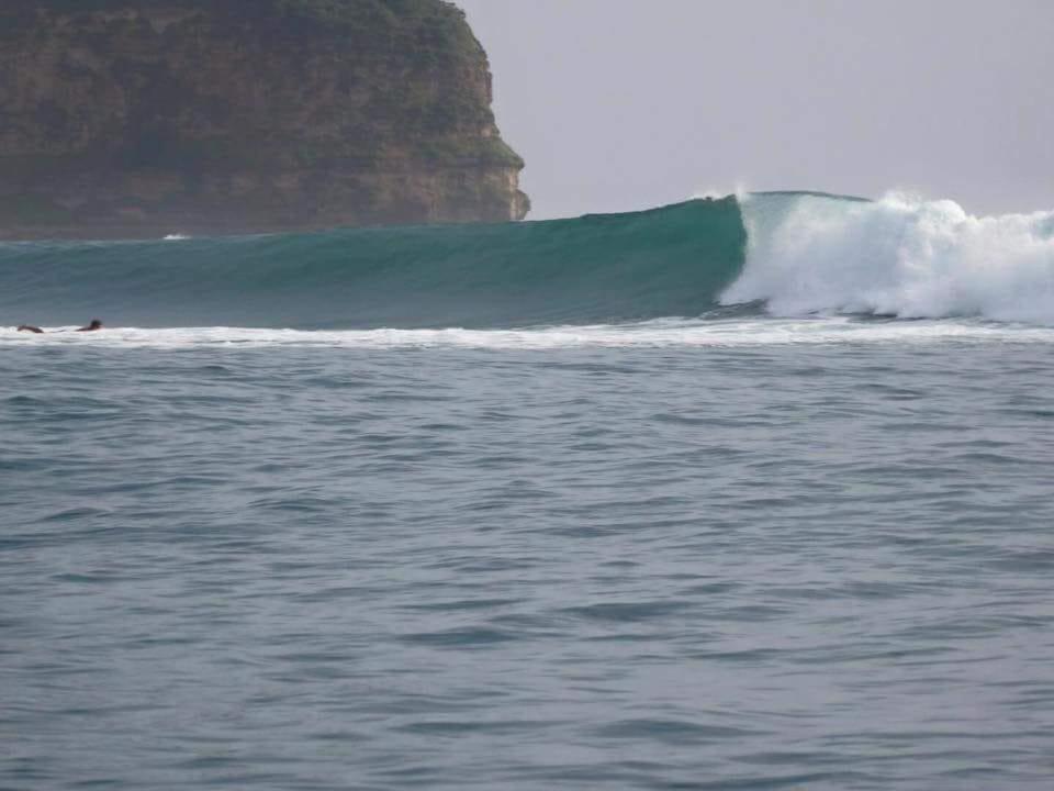 Surf & Surf Camp Lodge Ekas