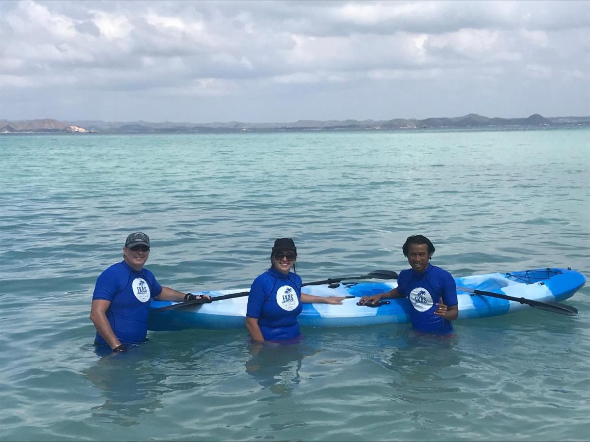 Surf & Surf Camp * Ekas
