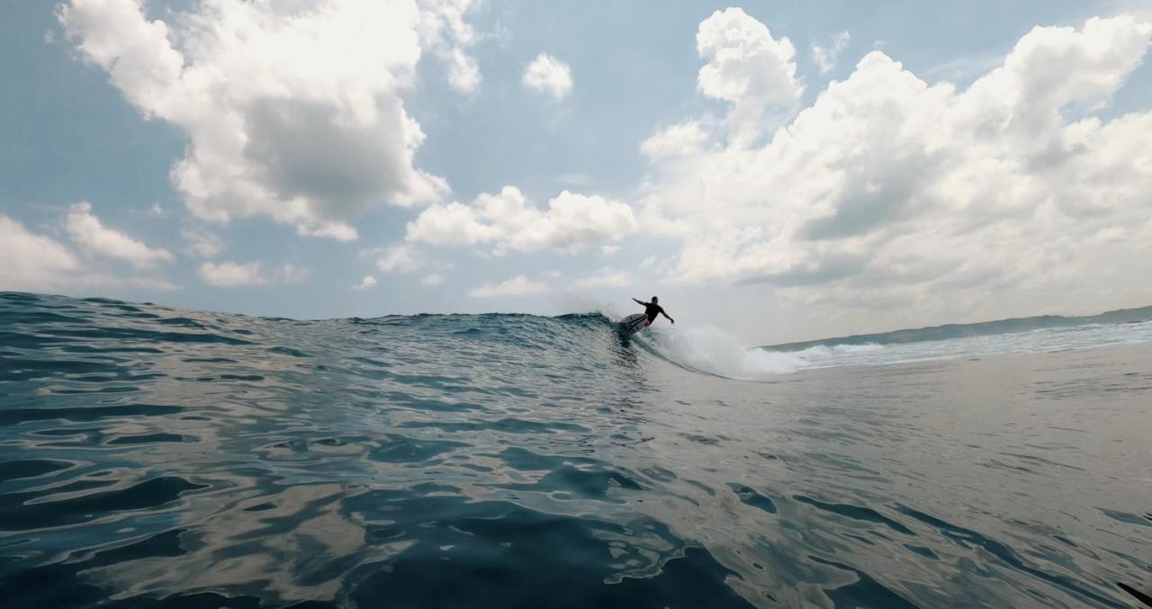 Surf & Surf Camp *