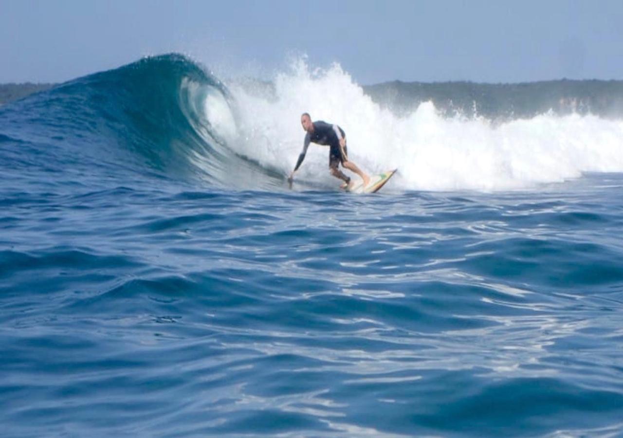 Surf & Surf Camp Lodge