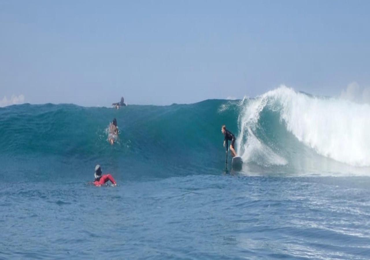 Surf & Surf Camp Ekas