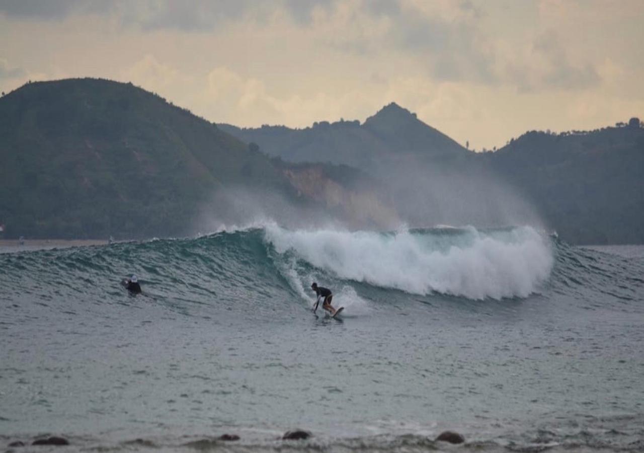 Surf & Surf Camp * Ekas