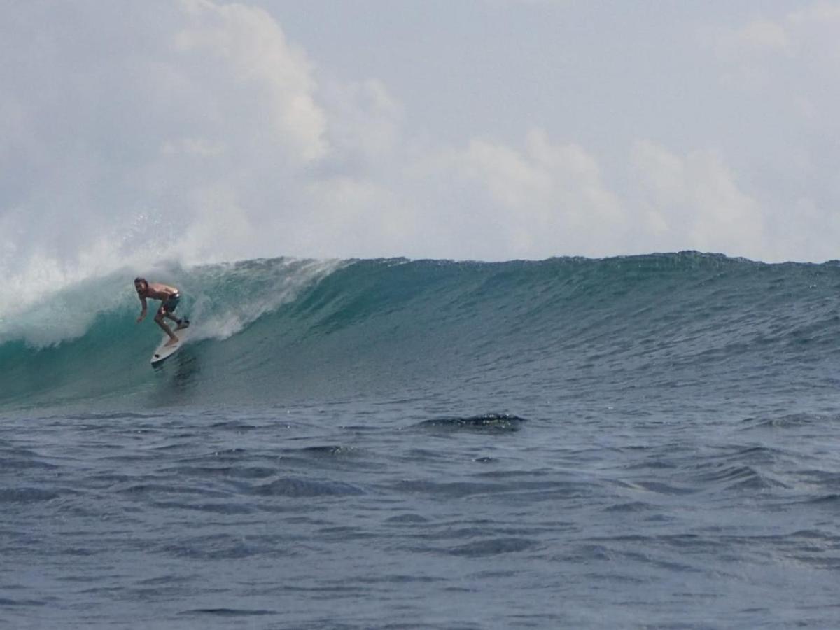 Lodge Surf & Surf Camp