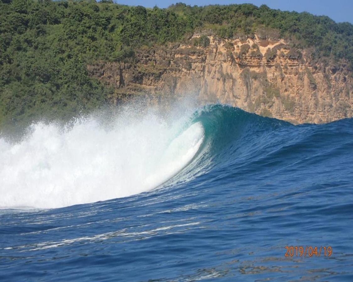 Lodge Surf & Surf Camp Ekas