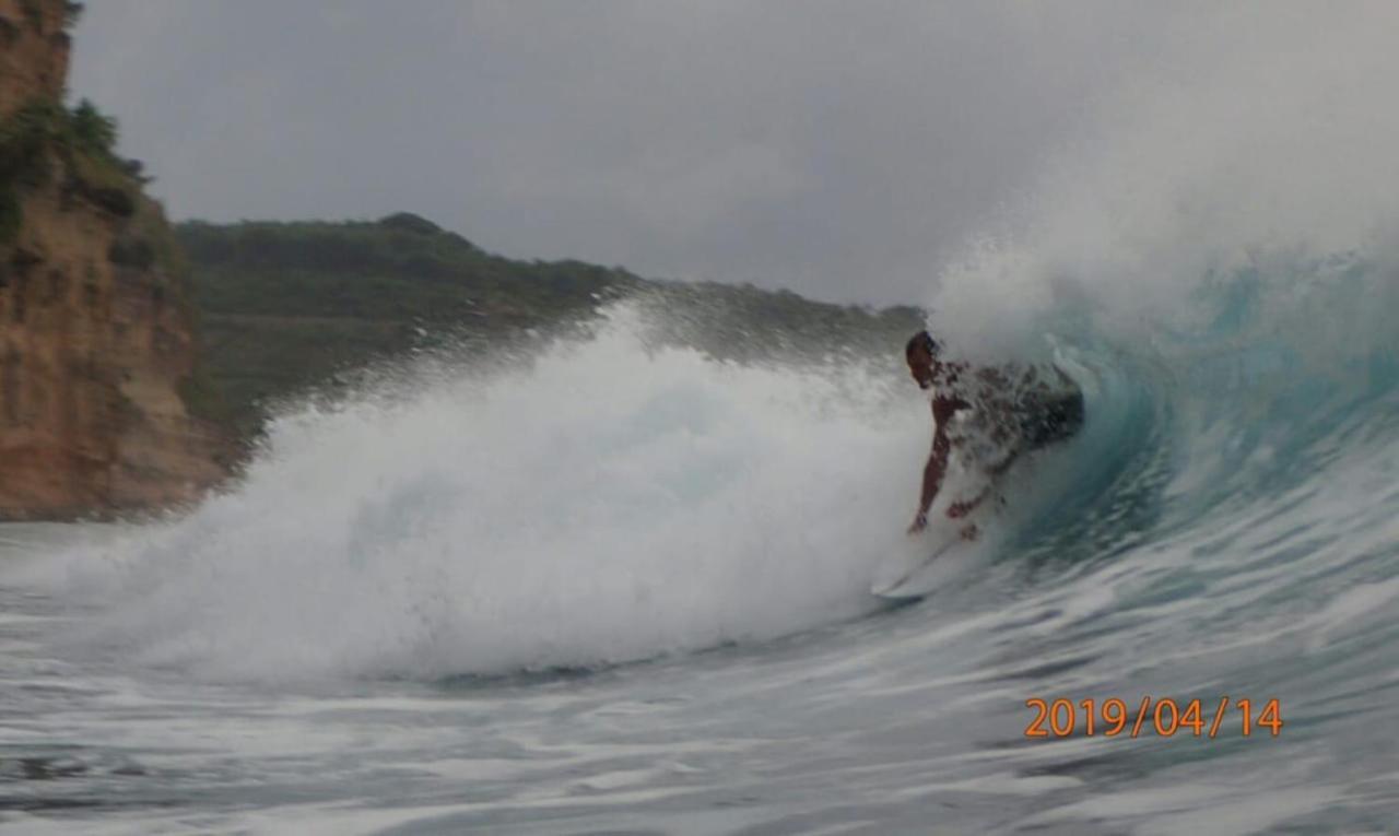 Surf & Surf Camp *