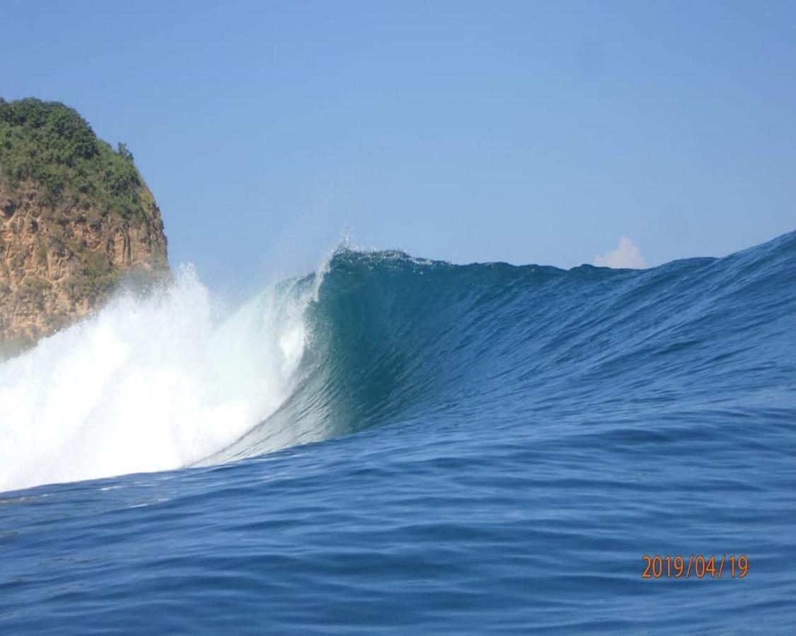 Surf & Surf Camp
