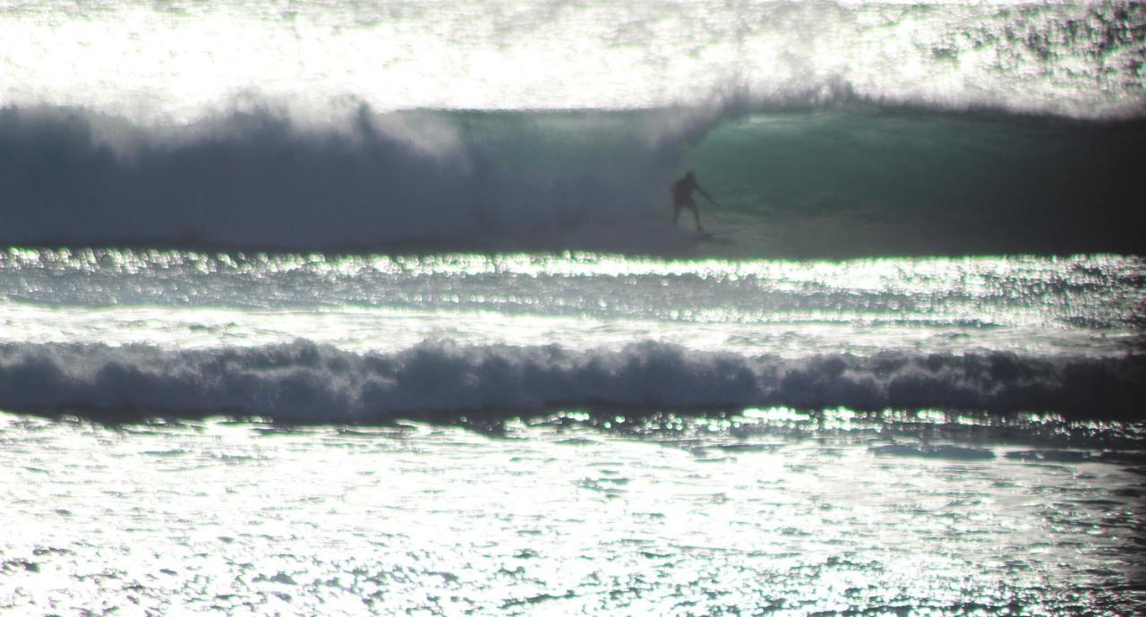 Lodge Surf & Surf Camp