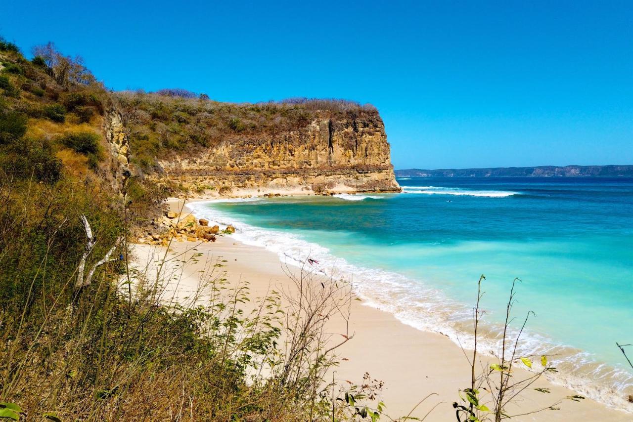 Surf & Surf Camp Lodge