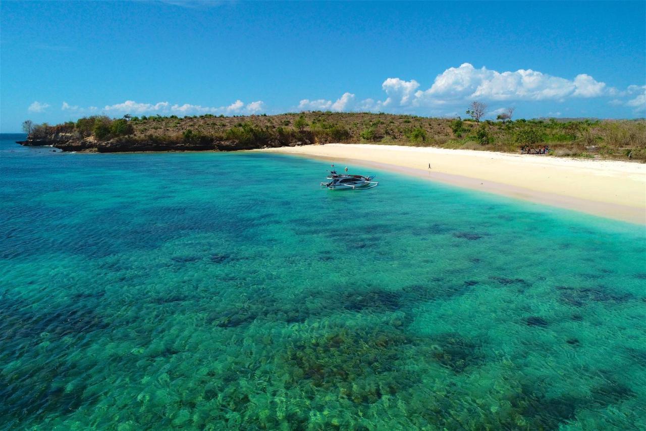 Surf & Surf Camp Lodge *