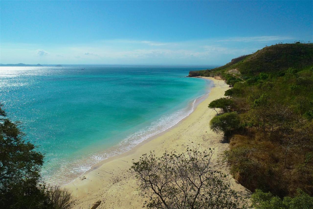 Lodge Surf & Surf Camp