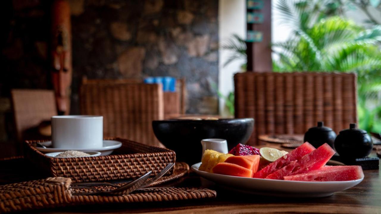 Surf & Surf Camp Lodge *