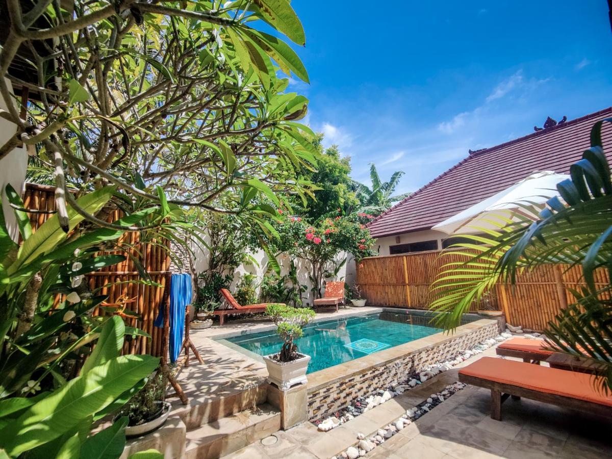Lodge Surf & Surf Camp