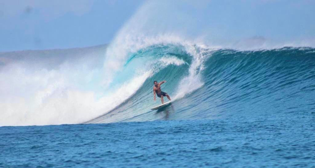 Lodge Surf & Surf Camp