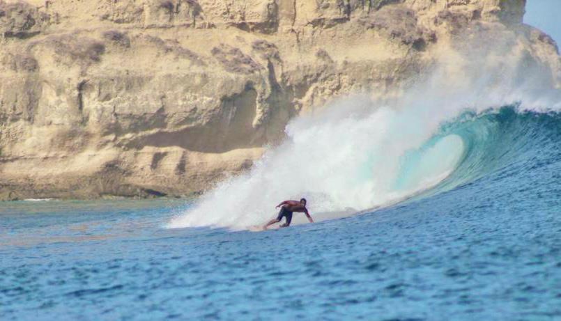 Surf & Surf Camp *